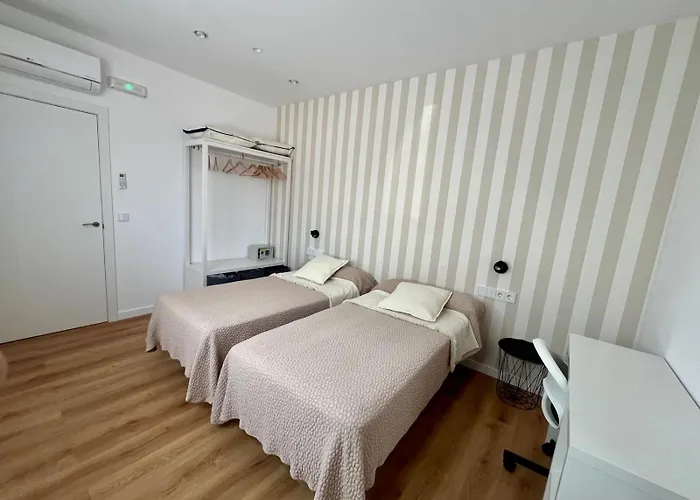 Xogo Da Ola En El Camino De Santiago